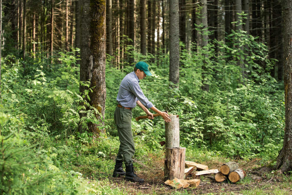 A man about to chop a log with an axe in the bush