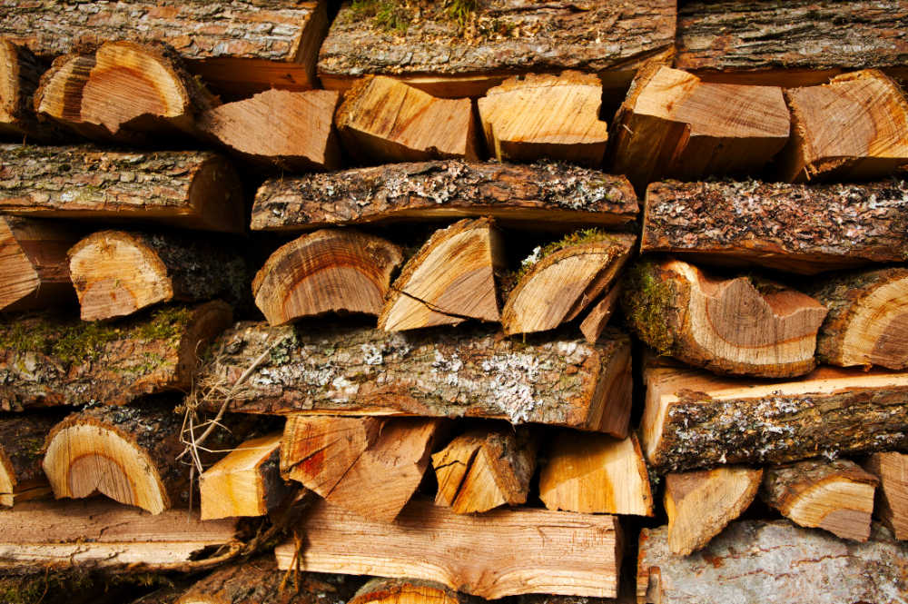 A stack of seasoning split elm firewood