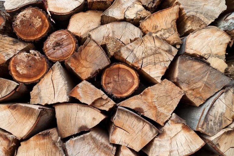 Is Beech Firewood Any Good?