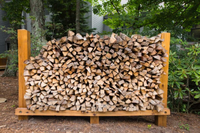 Black Locust Firewood – Is It Any Good?