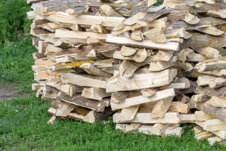 What Is Boxelder Firewood Like To Burn?