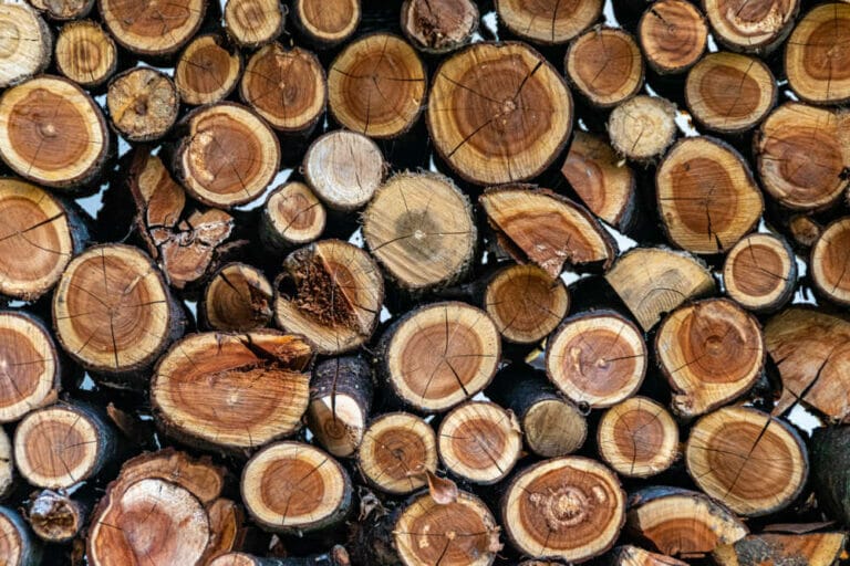 Is Cherry Firewood Good To Burn?