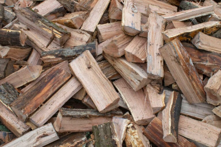 Hickory Firewood – How Good Is It To Burn?