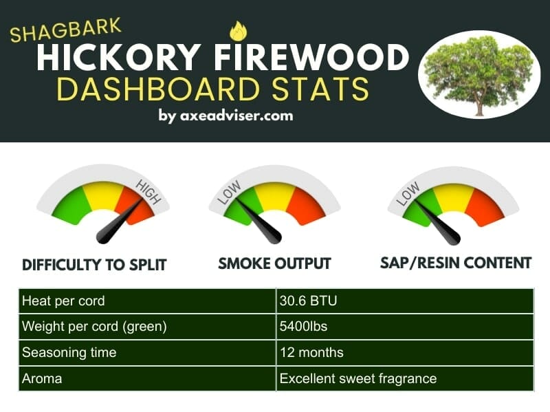 Infographic showing shagbark hickory data