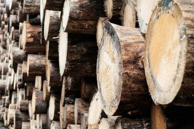 Spruce Firewood – How Does It Compare?