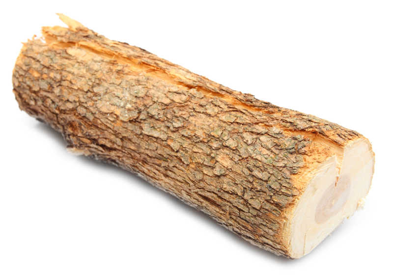 A piece of alder firewood isolated on a white background 