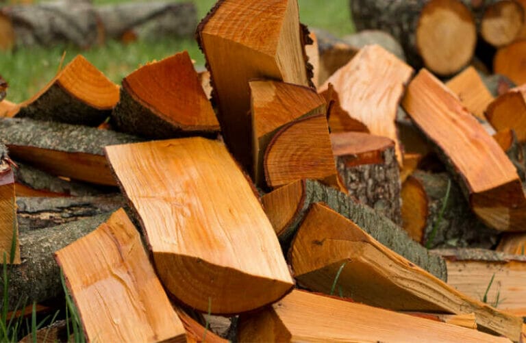 Is Alder Firewood Worth Burning?