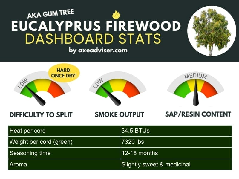 Infographic of eucalyptus or gumtree statistics