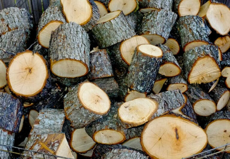 How Good Is Pecan Firewood To Burn?