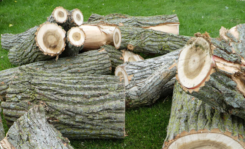 How Long to Season Cottonwood for Firewood 