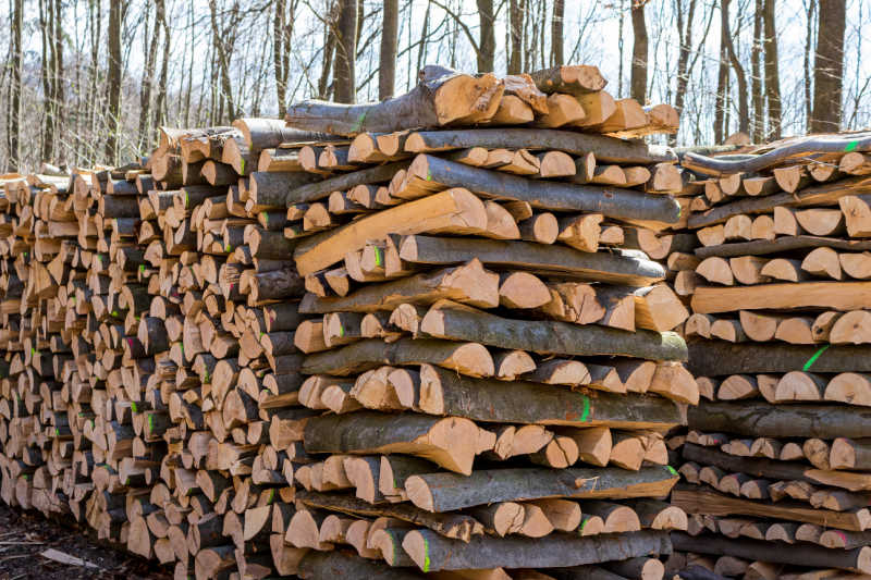 Firewood stacked in criss-cross formation
