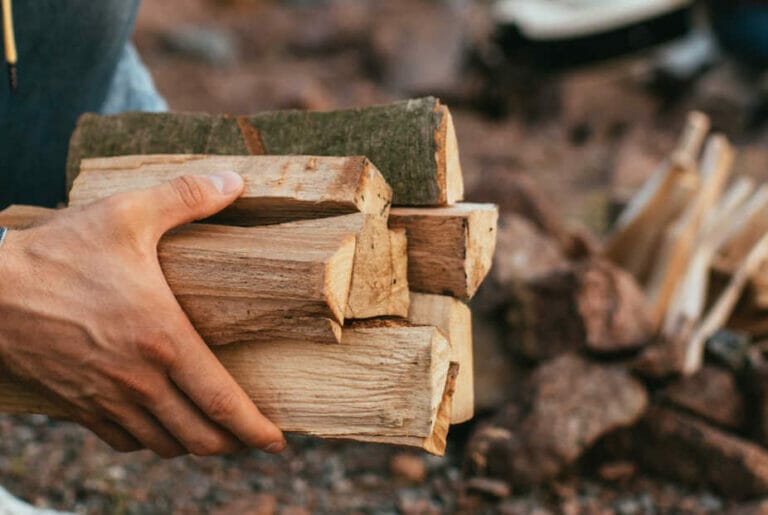 Is Ironwood Firewood Any Good?