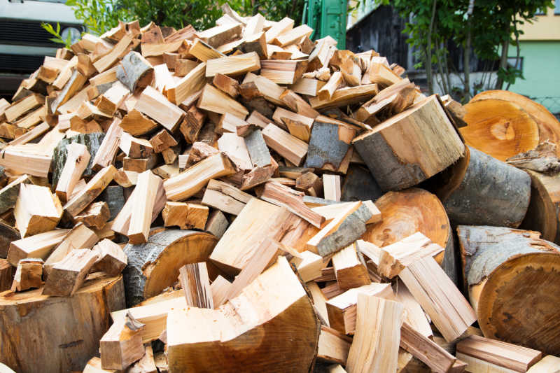A large pile of unseasoned firewood ready to be stacked