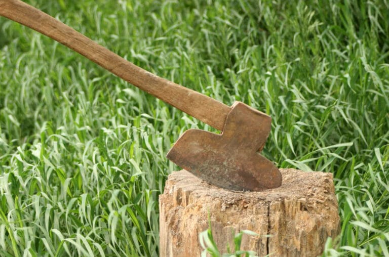 What Is A Broad Axe And How Is It Used?