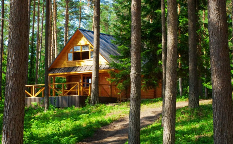 Welcome log cabin enthusiasts!