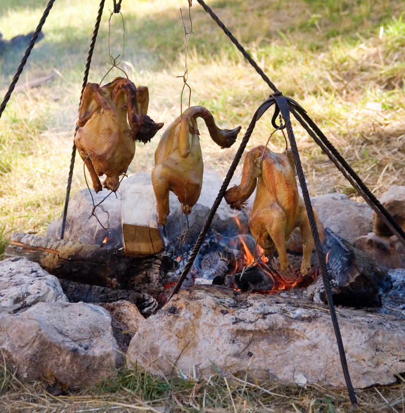 Whole poultry cooking over a campfire on a sunny day