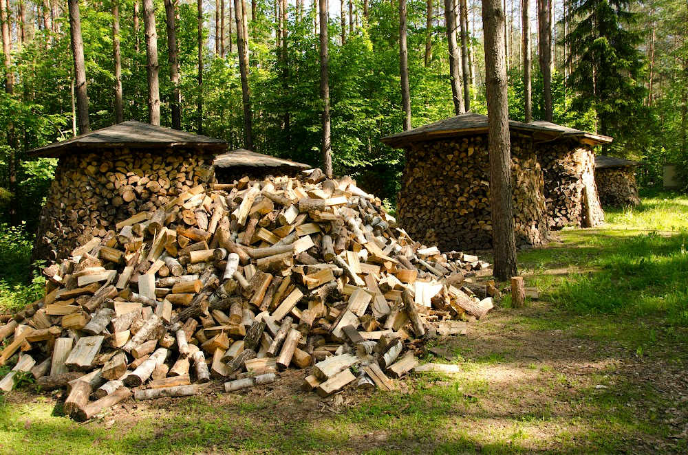 12 Best Types Of Firewood For Colorado - Axe Adviser