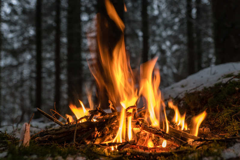 A campfire burning with forest in the background