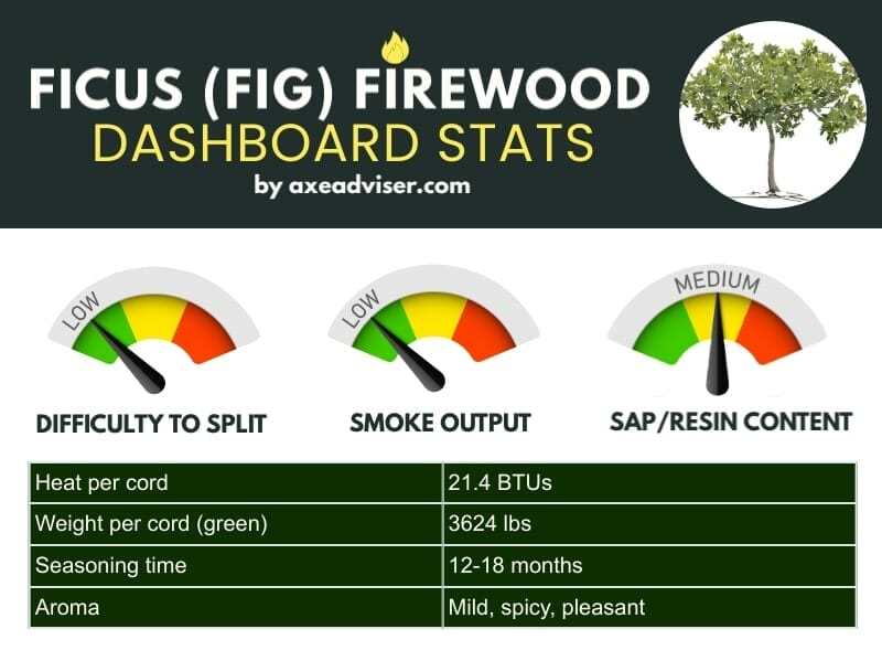 Infographic showing ficus firewood statistics