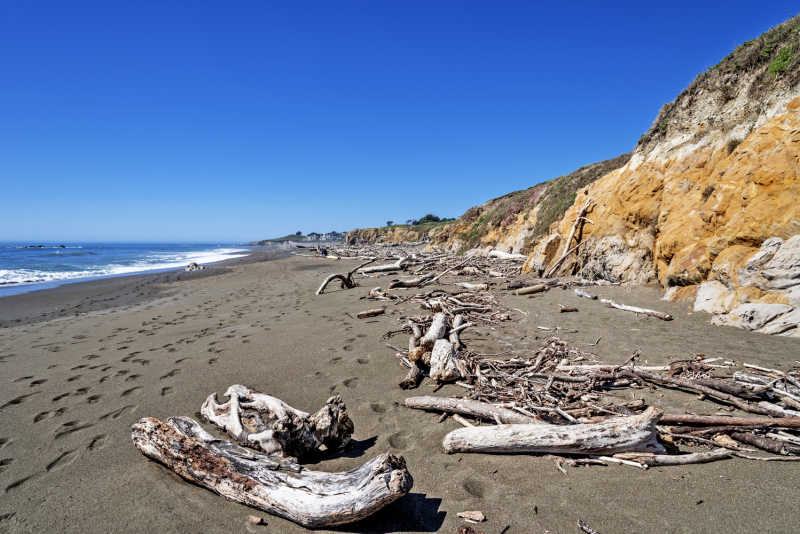 Driftwood lying on the beach