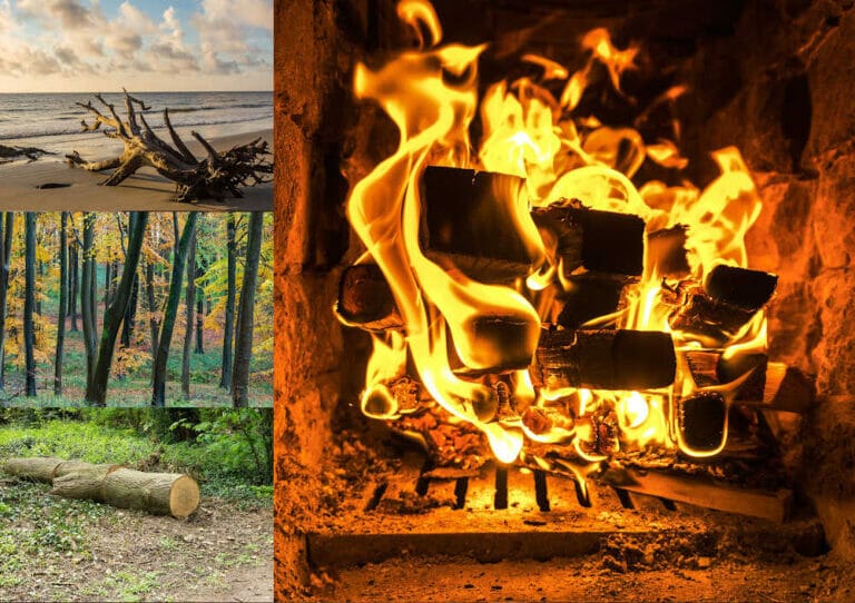11 Types Of Wood You Shouldn’t Burn