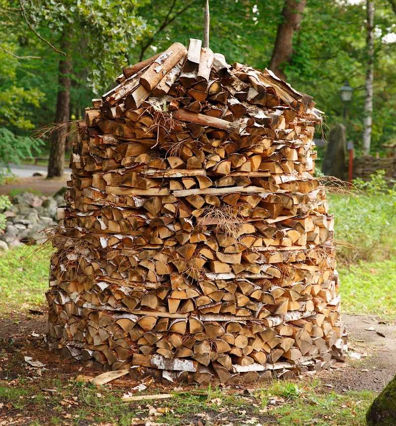 A German wood stack with trees in the background