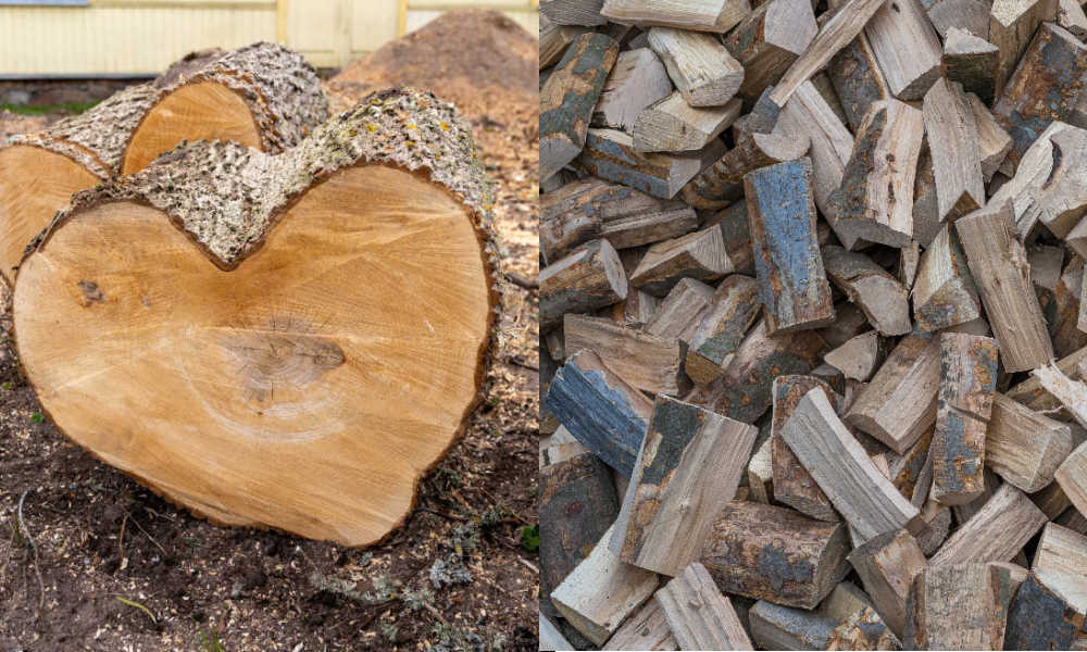 Maple logs next to oak logs ready for splitting