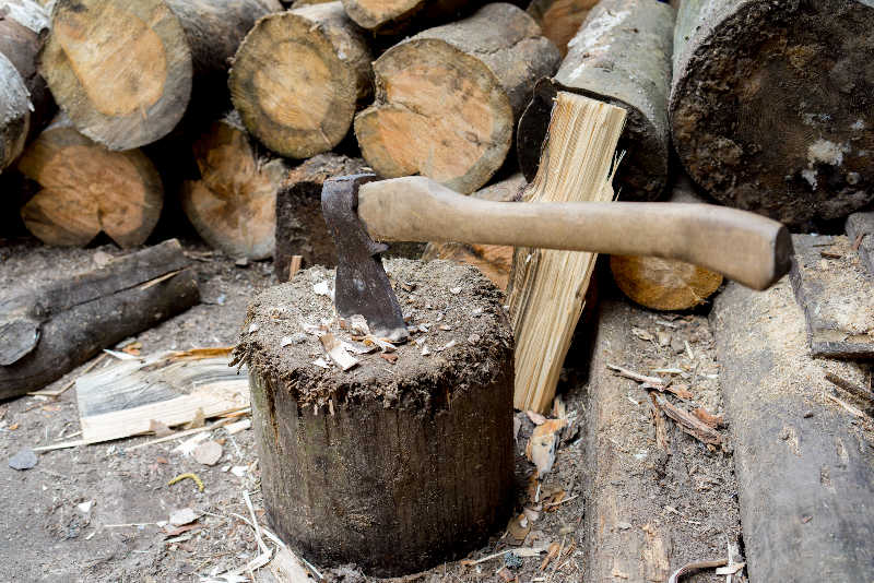 An axe driven into a chopping block with logs in the background.