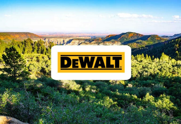 DeWalt Axes – An Essential Company Brief