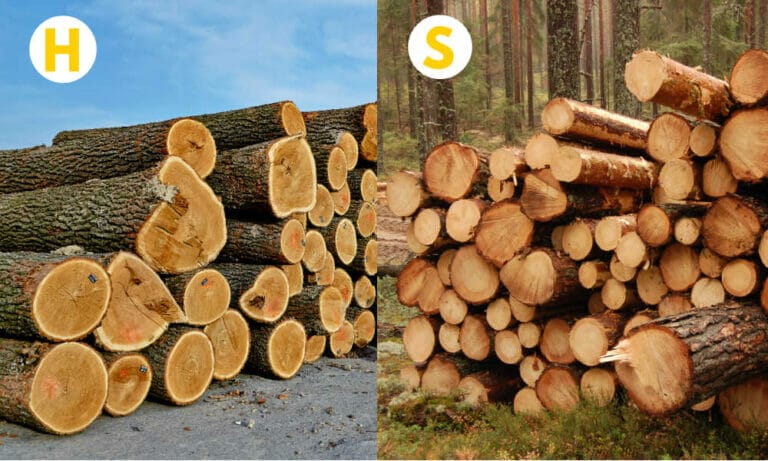 Hardwood Vs. Softwood Firewood – What’s The Difference?