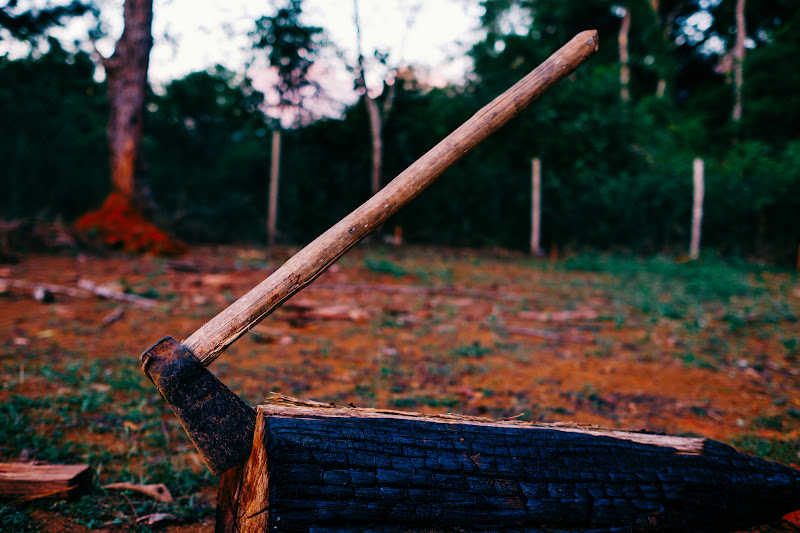 A rustic axe wedged into a log with trees in the background