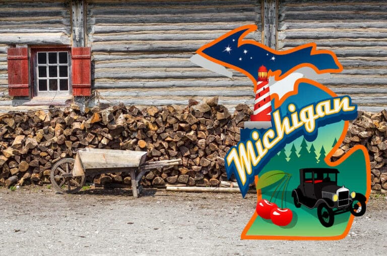 10 Best Types Of Firewood For Michigan